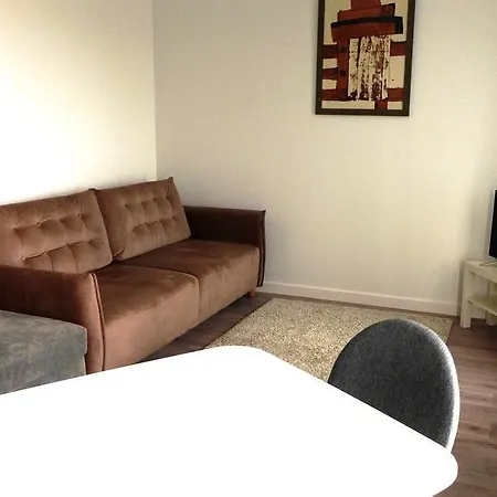Apartment Ziogu Apartamentas *